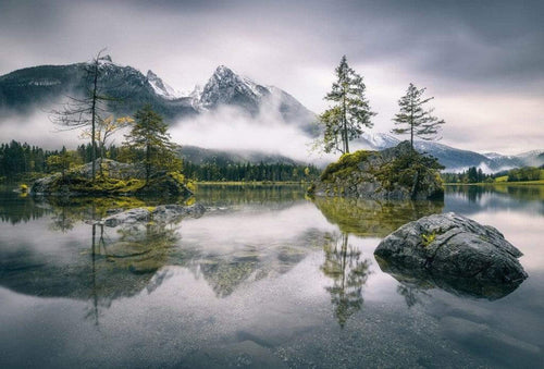 Wizard+Genius Foggy Day Vlies Fotobehang 384x260cm 8 banen | Yourdecoration.be