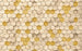 Komar Woodcomb Birch Vlies Fotobehang 400x250cm 4 banen | Yourdecoration.be