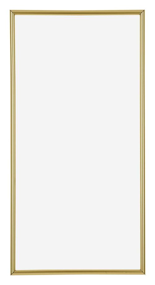 Annecy Kunststof Fotokader 20x40cm Goud Voorzijde | Yourdecoration.be