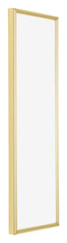 Annecy Kunststof Fotokader 20x60cm Goud Voorzijde Schuin | Yourdecoration.be