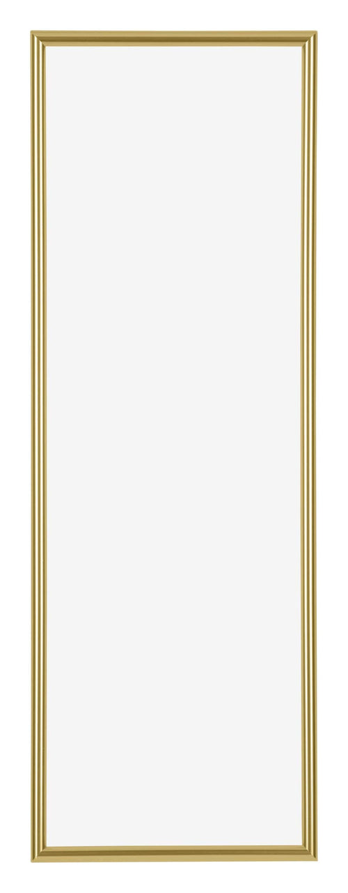 Annecy Kunststof Fotokader 20x60cm Goud Voorzijde | Yourdecoration.be
