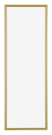 Annecy Kunststof Fotokader 20x60cm Goud Voorzijde | Yourdecoration.be