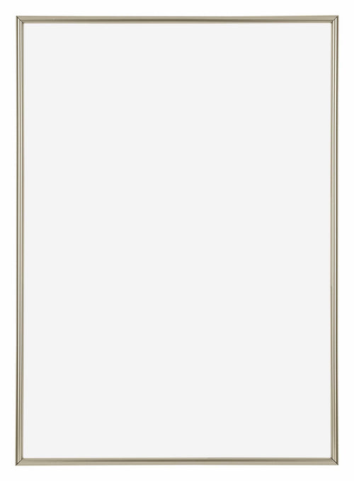 Annecy Kunststof Fotokader 42x59 4cm A2 Champagne Voorzijde | Yourdecoration.be