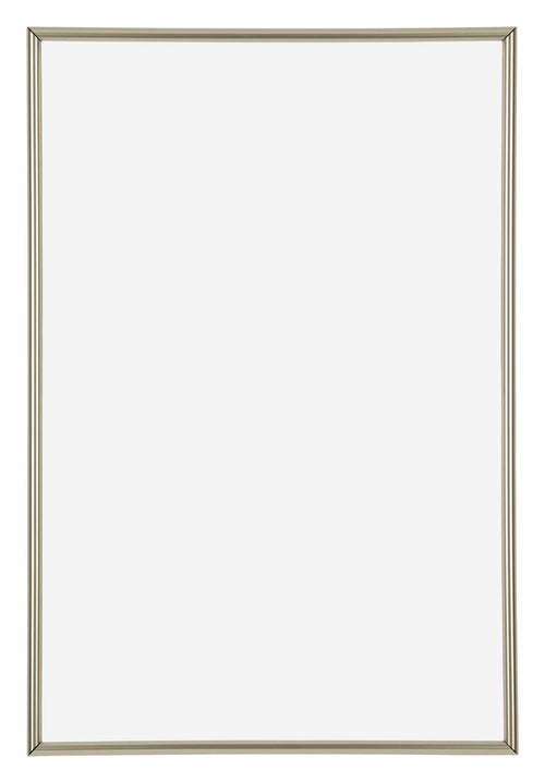 Annecy Kunststof Fotokader 62x93cm Champagne Voorzijde | Yourdecoration.be