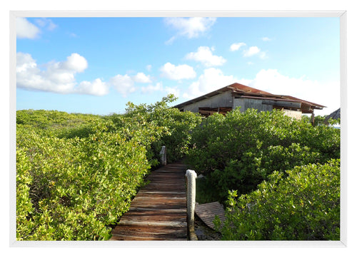 Aurora Aluminium Fotokader 29 7x42cm A3 set van 2 Wit Voorzijde Foto Liggend | Yourdecoration.be