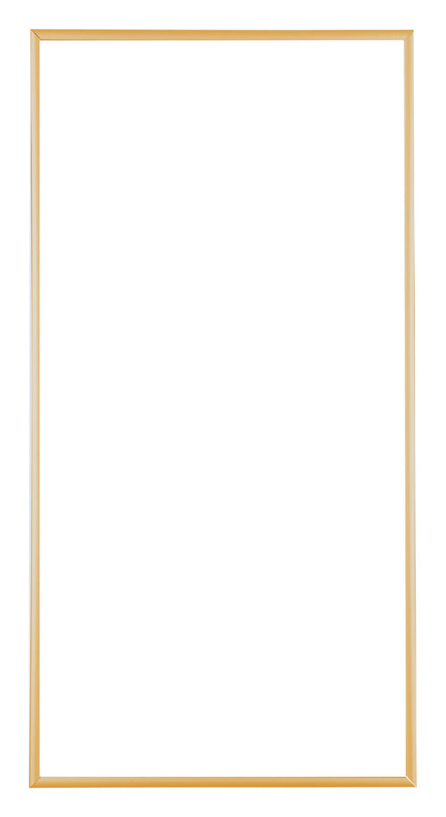 Austin Aluminium Fotokader 20x40cm Goud Vintage Voorzijde | Yourdecoration.be