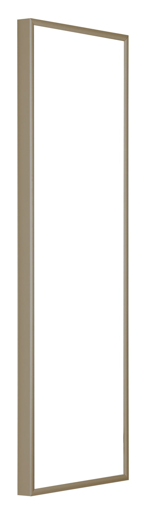 Austin Aluminium Fotokader 20x60cm Champagne Voorzijde Schuin | Yourdecoration.be