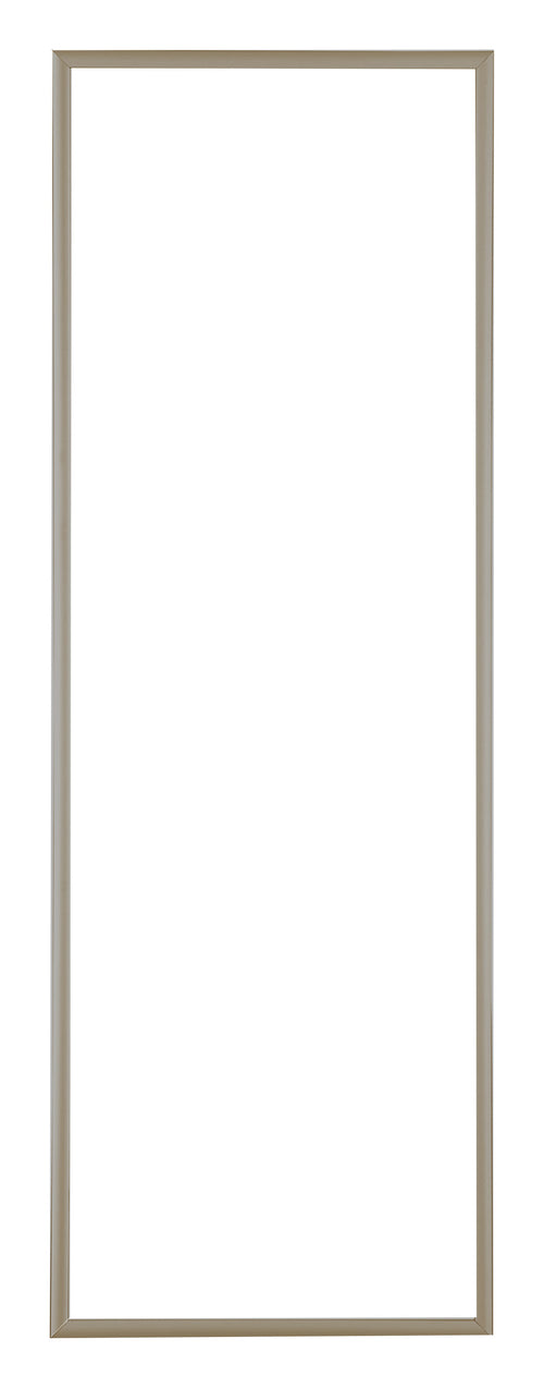 Austin Aluminium Fotokader 20x60cm Champagne Voorzijde | Yourdecoration.be