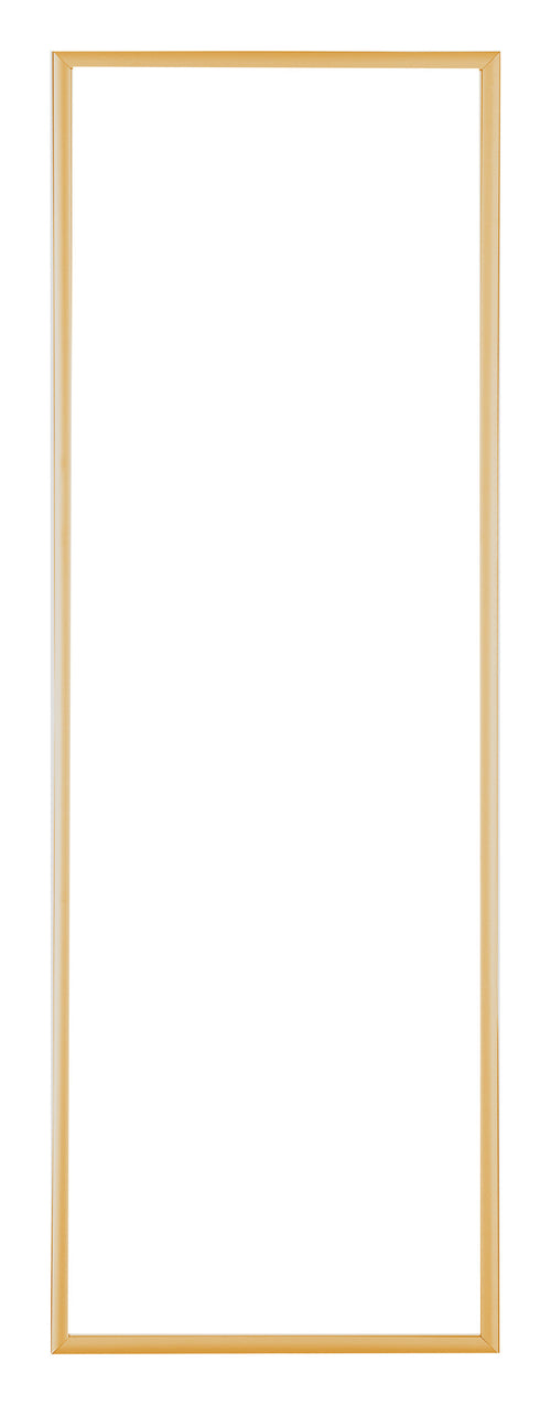 Austin Aluminium Fotokader 20x60cm Goud Vintage Voorzijde | Yourdecoration.be