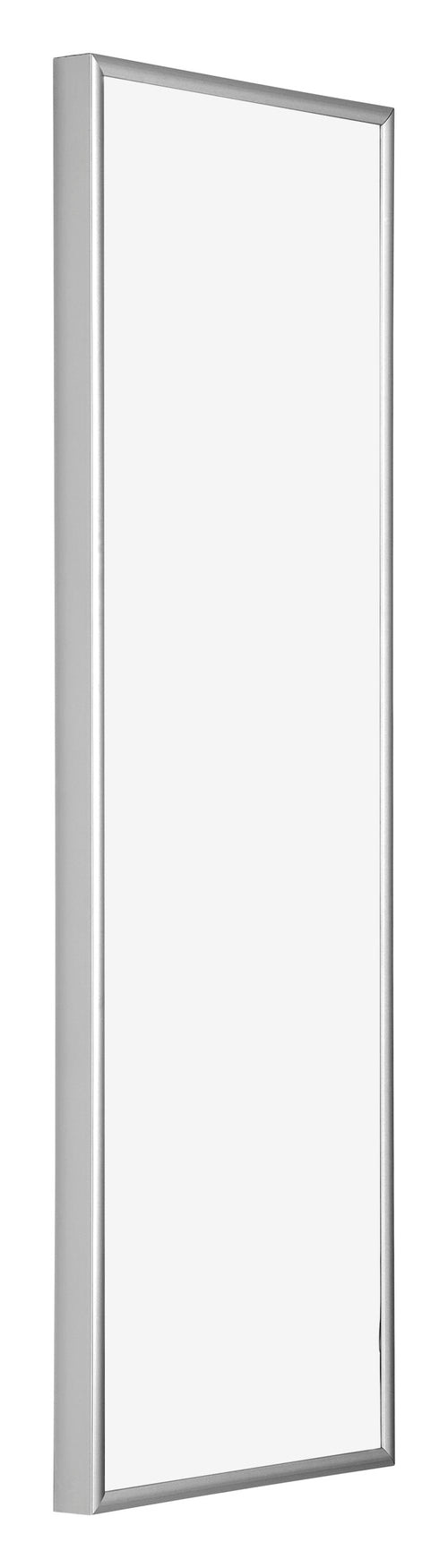 Austin Aluminium Fotokader 25x75cm Zilver Hoogglans Voorzijde Schuin | Yourdecoration.be