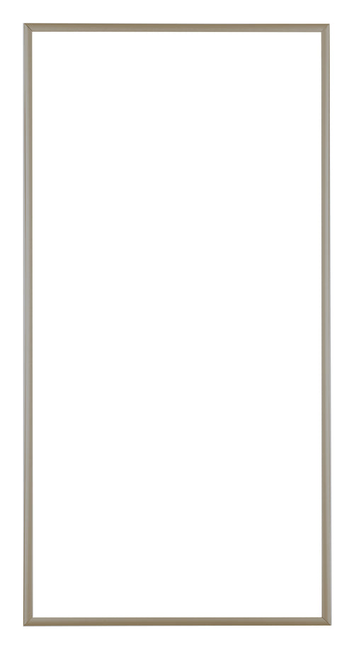 Austin Aluminium Fotokader 30x60cm Champagne Voorzijde | Yourdecoration.be