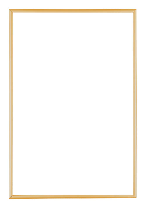 Austin Aluminium Fotokader 50x75cm Goud Vintage Voorzijde | Yourdecoration.be