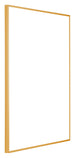 Austin Aluminium Fotokader 59 4x84cm A1 Goud Vintage Voorzijde Schuin | Yourdecoration.be