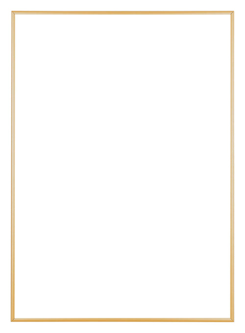 Austin Aluminium Fotokader 59 4x84cm A1 Goud Vintage Voorzijde | Yourdecoration.be