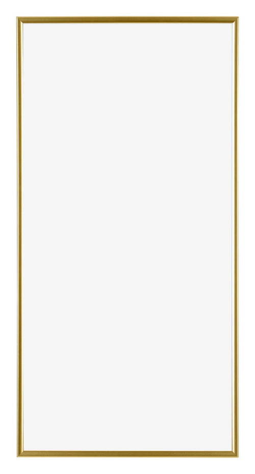 Evry Kunststof Fotokader 20x40cm Goud Voorzijde | Yourdecoration.be