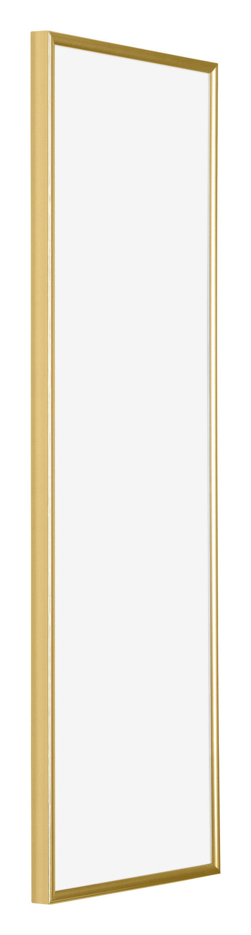Evry Kunststof Fotokader 33x98cm Goud Voorzijde Schuin | Yourdecoration.be