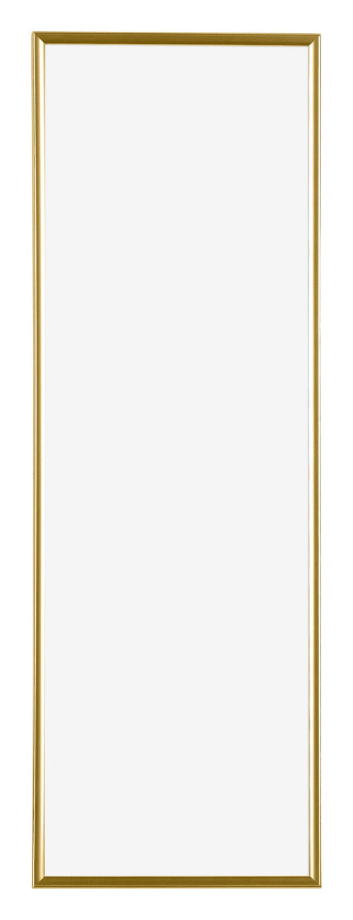 Evry Kunststof Fotokader 33x98cm Goud Voorzijde | Yourdecoration.be