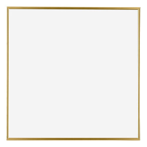 Evry Kunststof Fotokader 50x50cm Goud Voorzijde | Yourdecoration.be