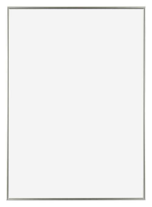 Evry Kunststof Fotokader 59 4x84cm A1 Champagne Voorzijde | Yourdecoration.be