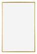 Evry Kunststof Fotokader 62x93cm Goud Voorzijde | Yourdecoration.be