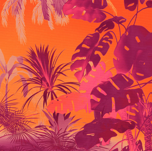 Fotobehang Funky Jungle 250x250cm Komar FLX5 049 | Yourdecoration.be