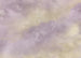 Fotobehang Lavender clouds 350x250cm FLX7 009 | Yourdecoration.be
