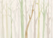 Fotobehang Shadow Woods 350x250cm FLX7 008 | Yourdecoration.be