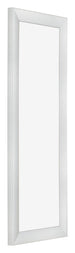 Fotokader 33x98cm Zilver Mat MDF Pisa Voorzijde Schuin | Yourdecoration.be
