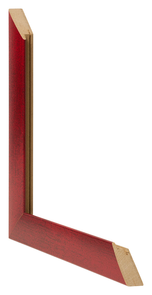 Fotokader 40x55cm Wijnrood Geveegd MDF Pisa Detail Doorsnede | Yourdecoration.be