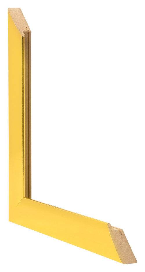 Fotokader 50x50cm Goud Vintage MDF Pisa Detail Doorsnede | Yourdecoration.be