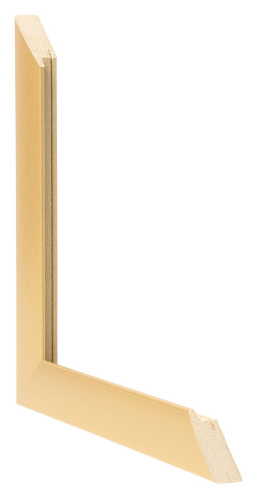 Fotokader 55x65cm Goud Mat MDF Pisa Detail Doorsnede | Yourdecoration.be