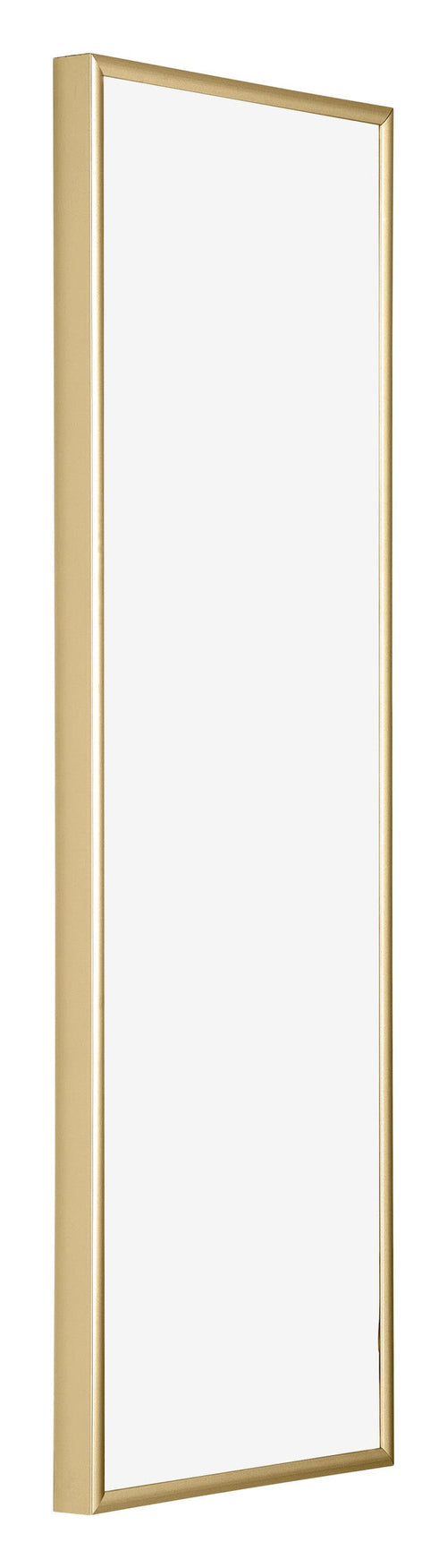 Kent Aluminium Fotokader 25x75cm Goud Voorzijde Schuin | Yourdecoration.be