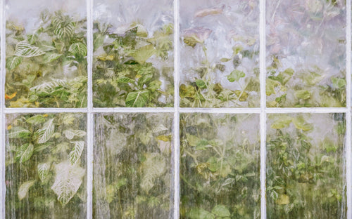 Komar Secret Stash Vlies Fotobehang 400x250cm 4 banen | Yourdecoration.be