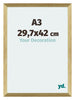Mura MDF Fotokader 29 7x42cm A3 Goud Glanzend Voorzijde Maat | Yourdecoration.be