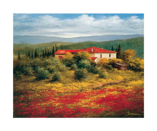 PGM SRH 06 Heinz Scholnhammer Landschaft mit Mohn II Kunstdruk 60x50cm | Yourdecoration.be