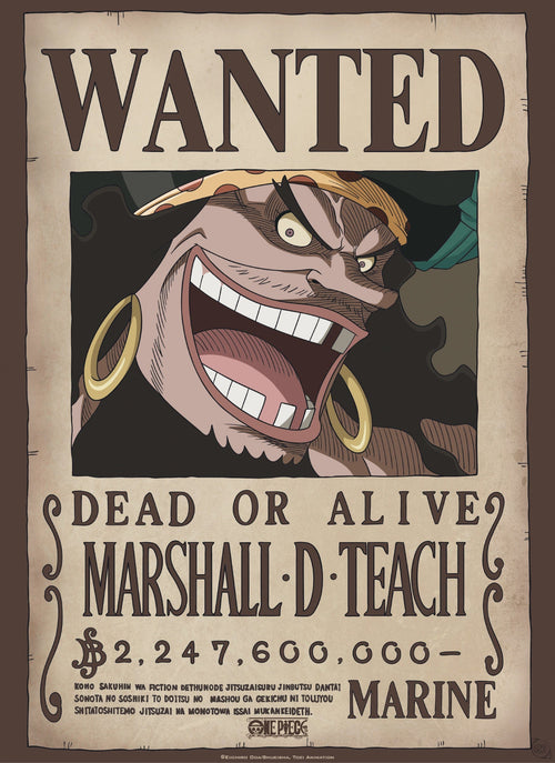 Abystyle Gbydco267 One Piece Wanted Blackbeard Poster 38x52cm | Yourdecoration.be