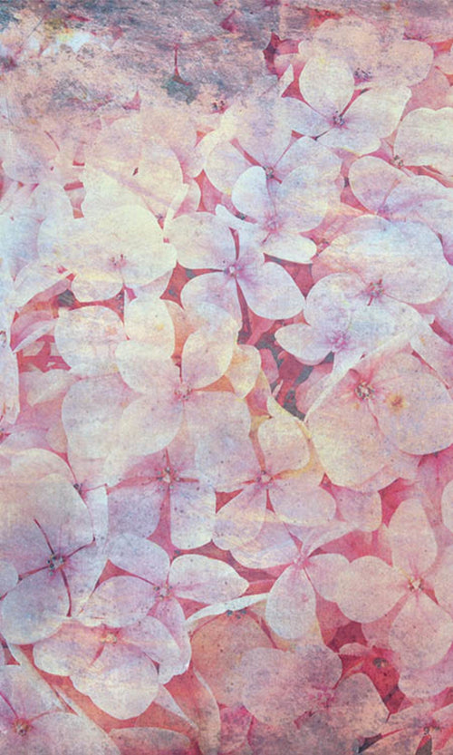 Dimex Apple Tree Abstract I Fotobehang 150x250cm 2 banen | Yourdecoration.be