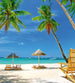 Dimex Tropical Beach Fotobehang 225x250cm 3 banen | Yourdecoration.be
