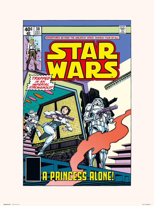 Grupo Erik Star Wars 30 A Princess Alone Kunstdruk 30X40cm | Yourdecoration.be