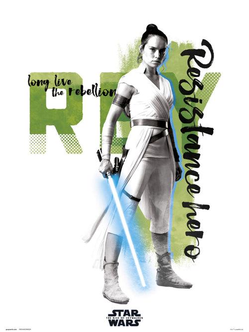 Grupo Erik Star Wars Episode Ix Rey Resistance Hero Kunstdruk 30X40cm | Yourdecoration.be