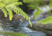 Komar Vlies Fotobehang 1611 I Along The River | Yourdecoration.be
