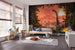 Komar Vlies Fotobehang Iax10 0021 Brachiosaurus Panorama Interieur | Yourdecoration.be