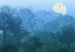 Komar Vlies Fotobehang Inx8 052 Deep In The Jungle | Yourdecoration.be