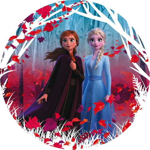 Komar Vlies Fotobehang Dd1 006 Frozen2 Winter Is Coming | Yourdecoration.be