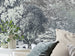 Komar Vlies Fotobehang R4 060 Fairytale Forest Int Detail | Yourdecoration.be