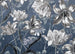 Komar Vlies Fotobehang X7 1041 Merian Blue | Yourdecoration.be