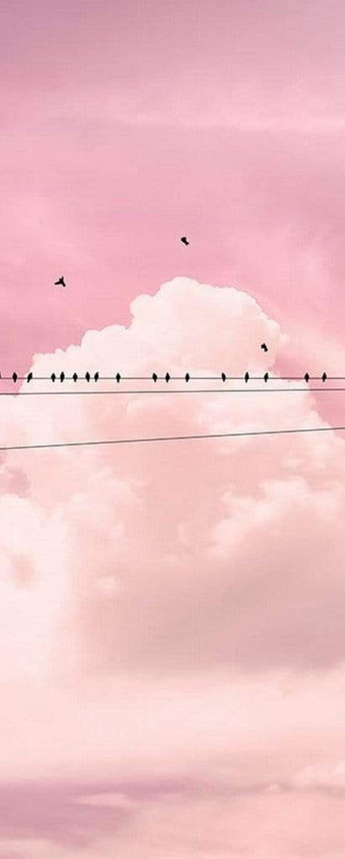 Komar Cloud Wire Vlies Fotobehang 100x250cm 1 baan | Yourdecoration.be