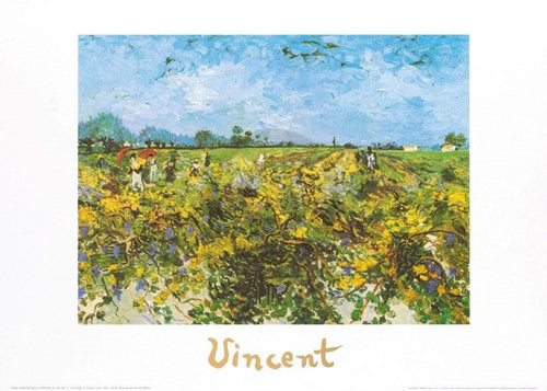 Vincent Van Gogh The Green Vineyard Kunstdruk 70x50cm | Yourdecoration.be