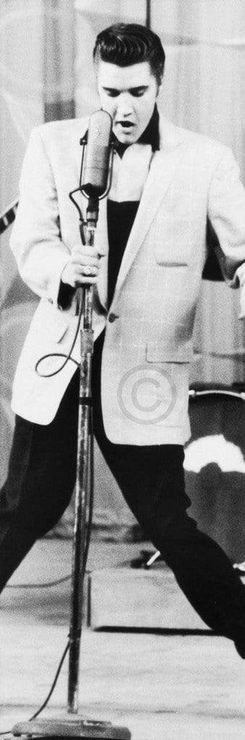 Edward Lunch The King Klein Kunstdruk 30x91cm | Yourdecoration.be