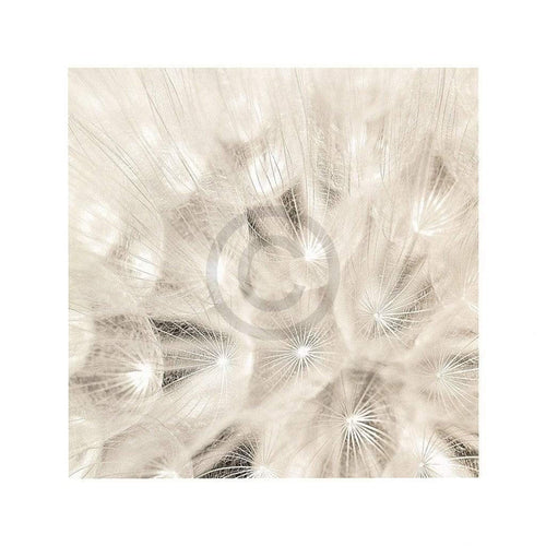 Adam Brock On the Breeze Kunstdruk 51x51cm | Yourdecoration.be